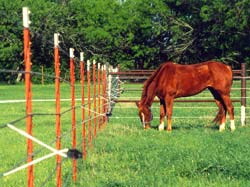 FARM SUPPLY STORE - ELECTRIC FENCE, DOG, CHARGER, HORSE